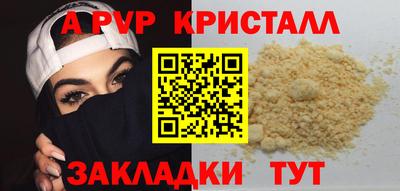spice Кингисепп