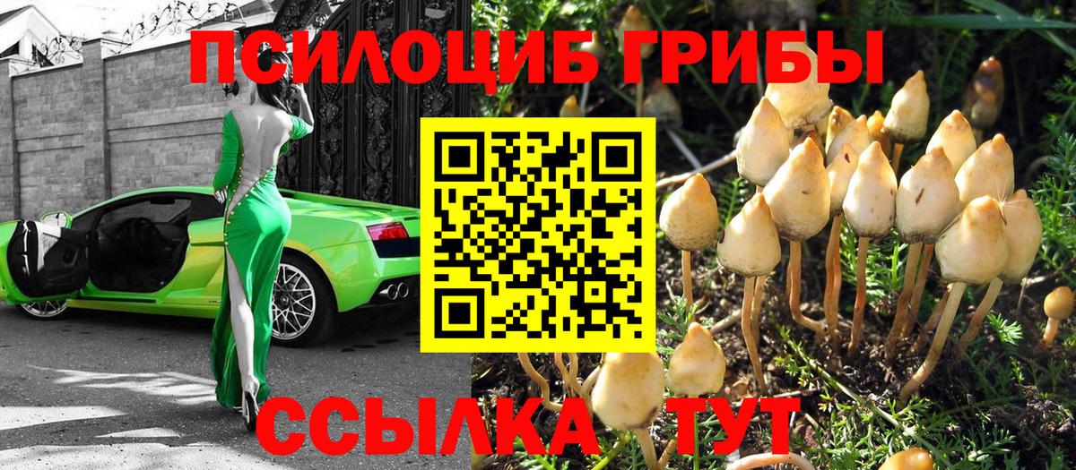 Галлюциногенные грибы Psilocybine cubensis  Вход с VPN  Кропоткин 