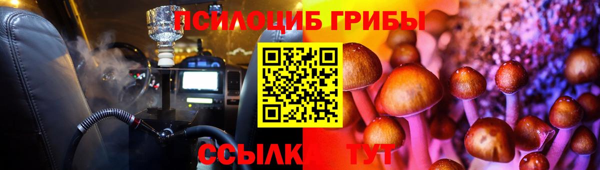 Псилоцибиновые грибы Cubensis Кропоткин